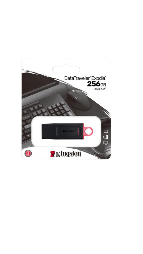 Pen Drive de 256GB Kingston DataTraveler Exodia DTX USB 3.2 - Preto - Image 2